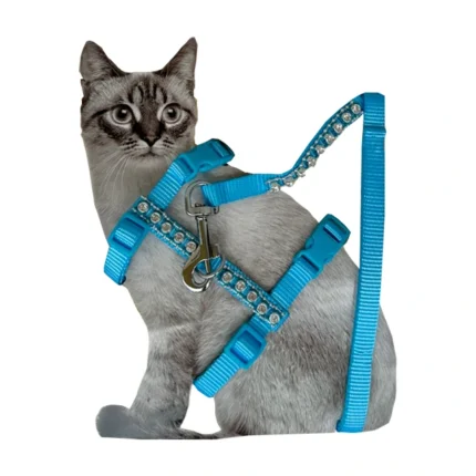 Arnés para gatos